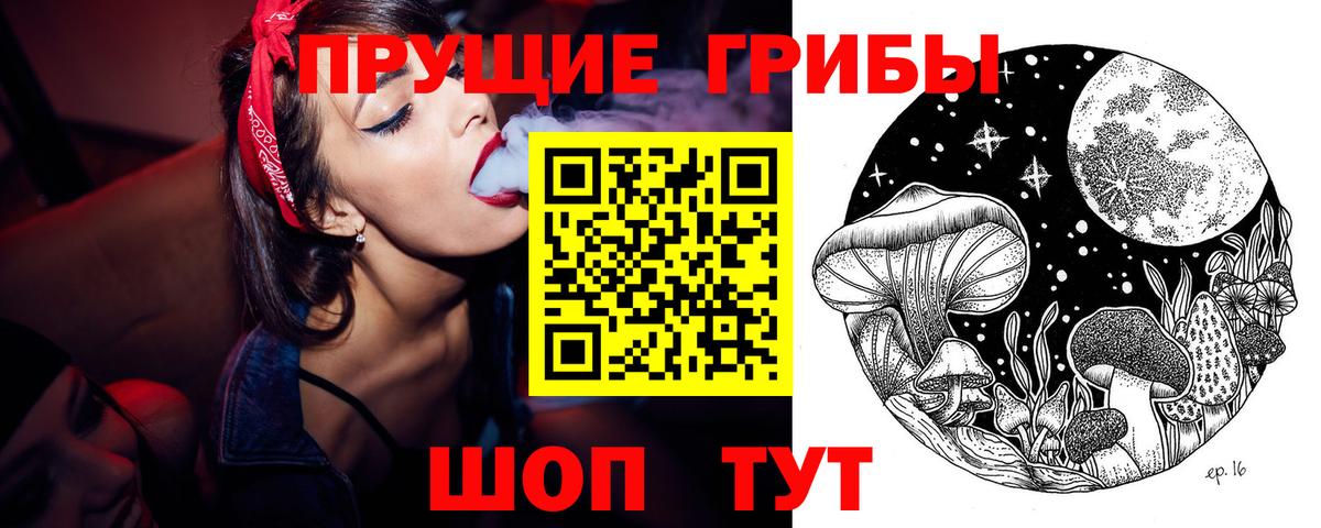 Псилоцибиновые грибы Psilocybine cubensis Вичуга